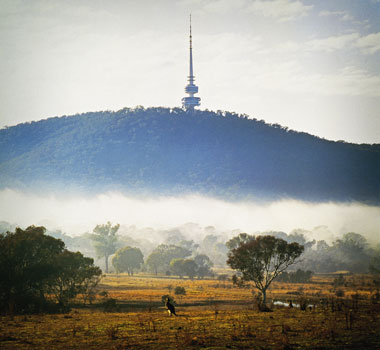Black Mountain and the landmark Telstra Tower.